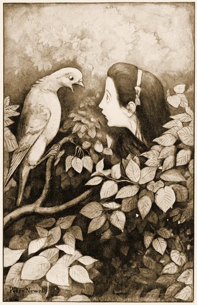 صرخ "الحمام!" صرخة الحمام ، رسم توضيحي لمغامرات لويس كارول في أليس في بلاد العجائب ، 1901 بواسطة بيتر نيويل